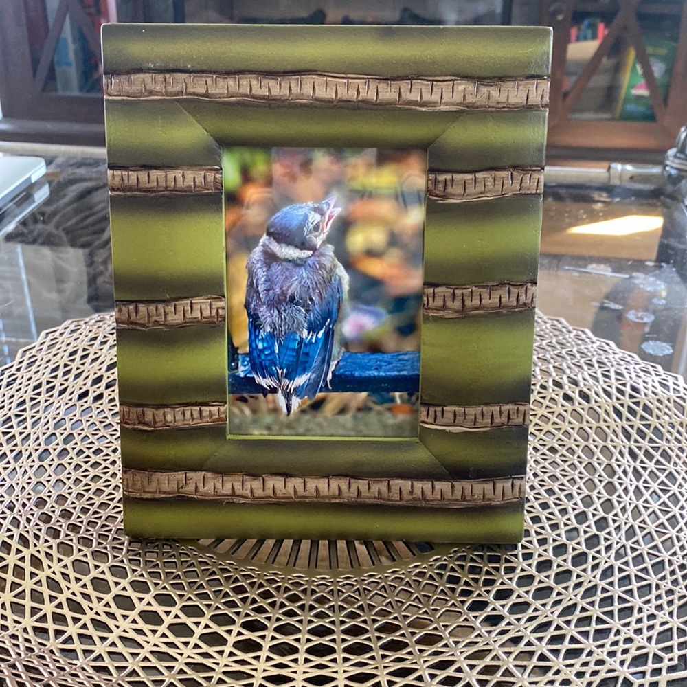 Morning Bird Photography piece with frame
